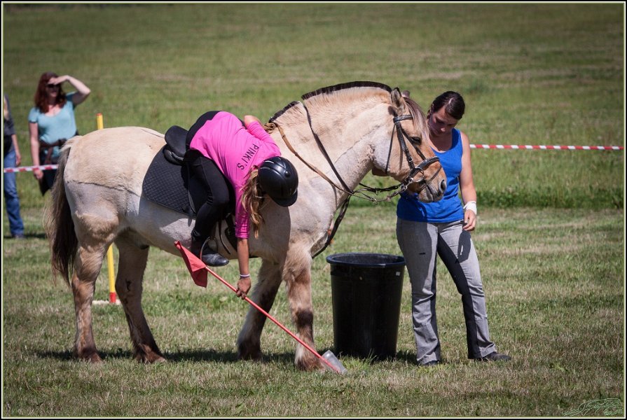 Mounted Games 254